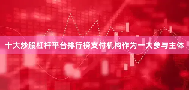 十大炒股杠杆平台排行榜支付机构作为一大参与主体